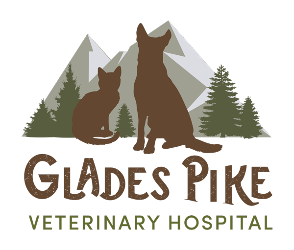 Glades Pike Veterinary Hospital